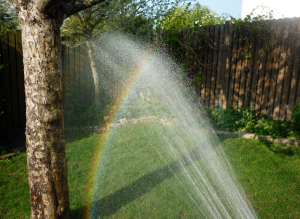 Regenbogen