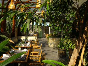 Tropical Islands Restaurant Tropical Garden