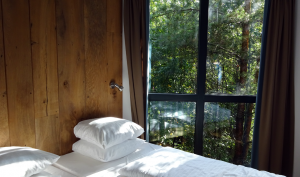 Center Parc Bispinger Heide Baumhaus Schlafzimmer