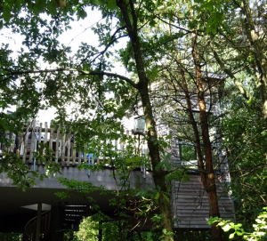 Center Parc Bispinger Heide Baumhaus Außenansicht