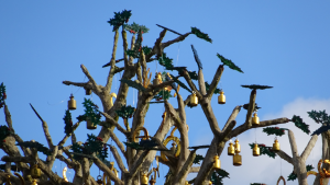 Iserhatsche Bispingen