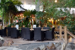 Center Parc Bispinger Heide Market Dome